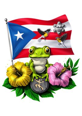 Puerto Rico Boricua Flag