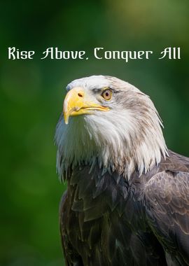 Rise Above Conquer All