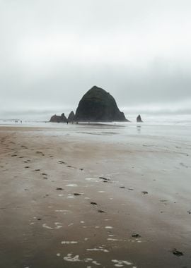 Cannon Beach Footprints