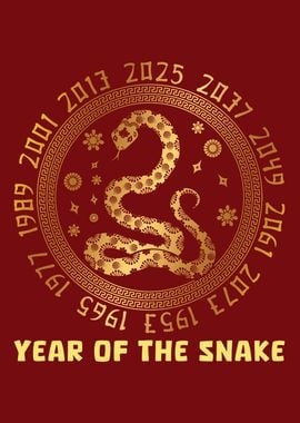 Chinese New Year Snake