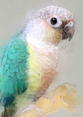 Conure Portrait 007