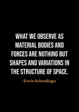 Erwin Schrodinger quotes