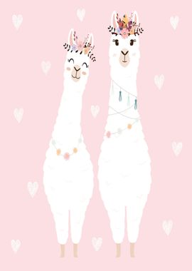 Cute llamas couple