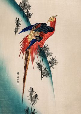 Pheasant  and Small Pine