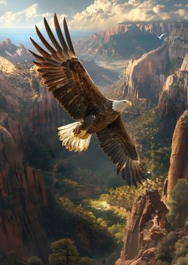 Eagles Canyon Flight