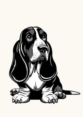 Basset Hound