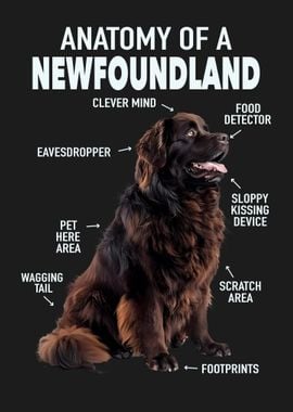 Newfoundland