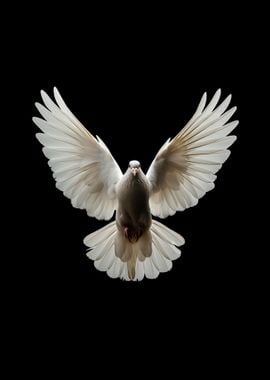 Dove