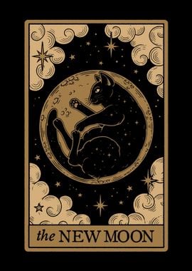 The New Moon Cat