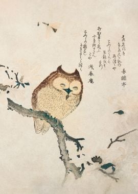 Owl on a Magnolia Branch