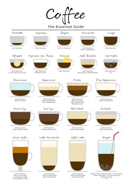 Coffee Essential Guide