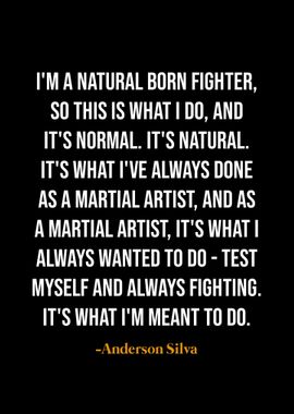 Anderson Silva quotes