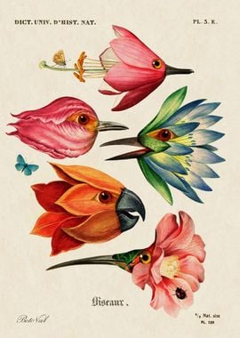 Flower birds