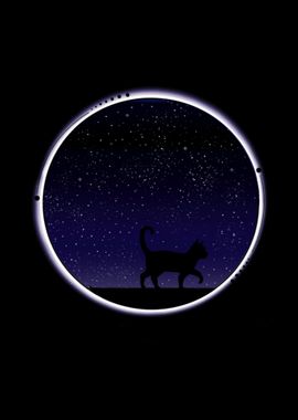 Cat in the night