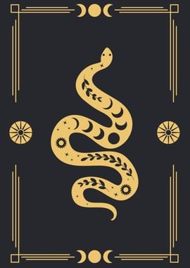 Golden boho snake in frame