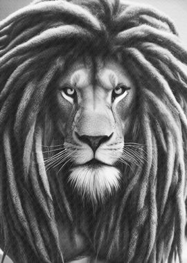 Lion dreadlocks