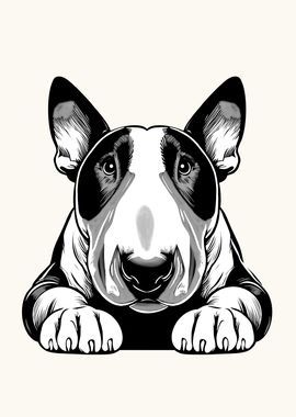 Bull Terrier