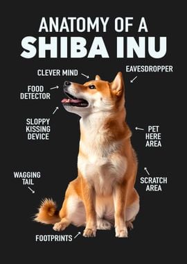 Shiba inu