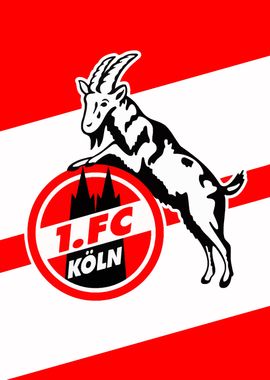 Fc Koln