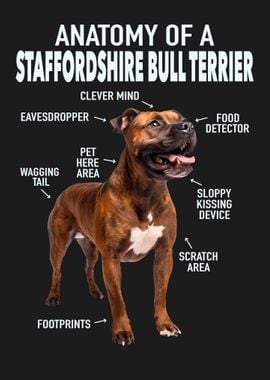 Staffordshire bull terrier