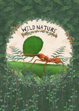 Wild Nature Ant