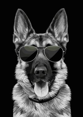 Cool German Shepherd