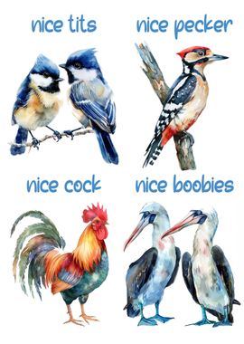 Funny Birds watercolor