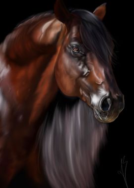 Horse