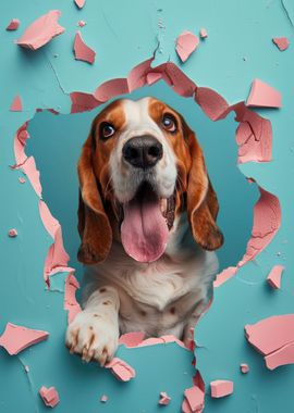 Cheerful Basset Hound