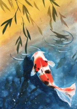 Koi Fish