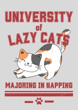 university of lazy cats