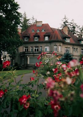 Pittock Mansion Blooms