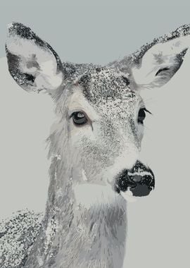 Snow Deer