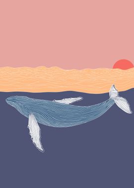 Sunset whale