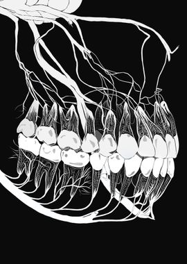 The Monochromatic Teeth