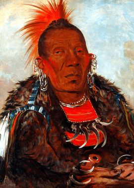 Native American Portrait