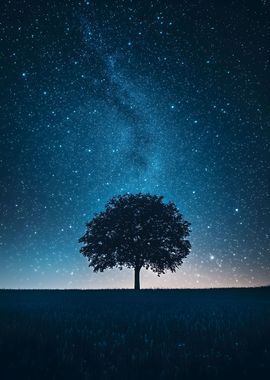 Starry Night Tree