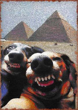 dogs at the pyramid meme