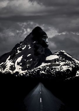 Ape Mountain Drive