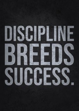 Discipline Breeds Success