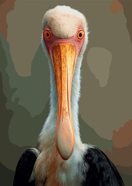 Portrait Pelicans