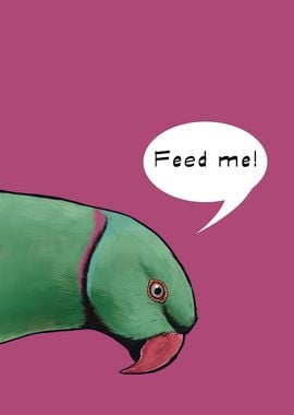 Feed Me