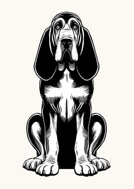 Bloodhound