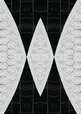 Patterned Symmetry 4