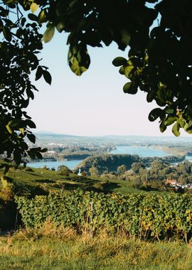 Serene River Valley