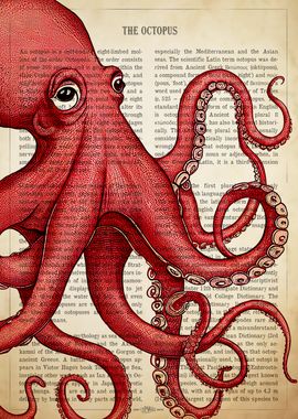 Red Octopus