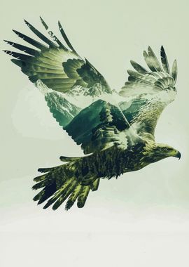 double exposure bird