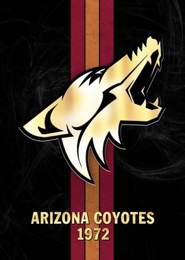 Arizona Coyotes 1972