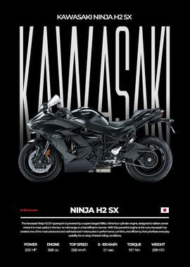 Kawasaki Ninja H2 SX