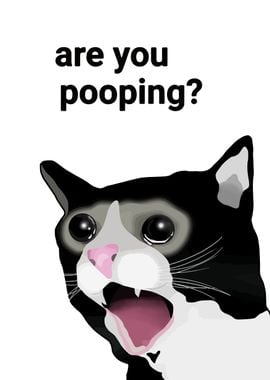 Cat Are You Pooping